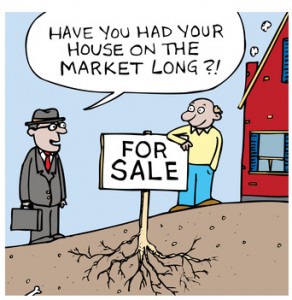 market long time cartoon
