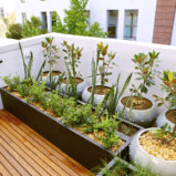 How to Create a Rooftop or Patio Garden